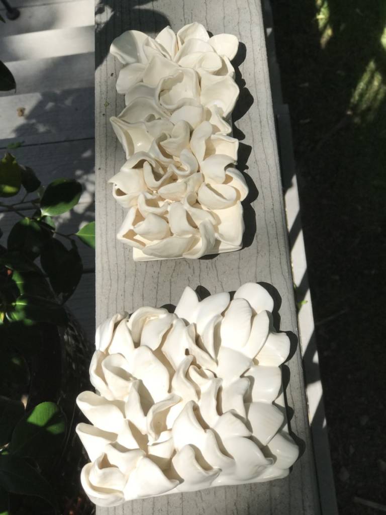 White Wall Hangings ($35 and $30) Board not included - Pam Anderson